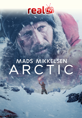 arctic